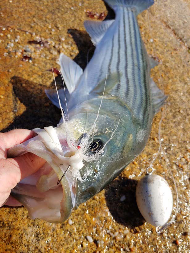 How to set up a Fishing Float