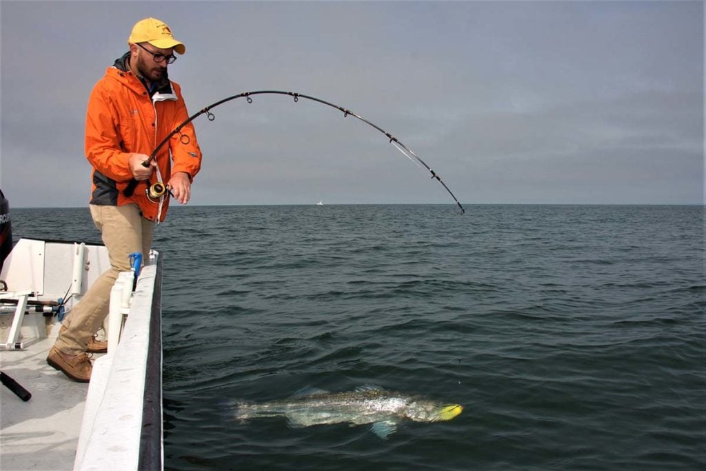Rod action