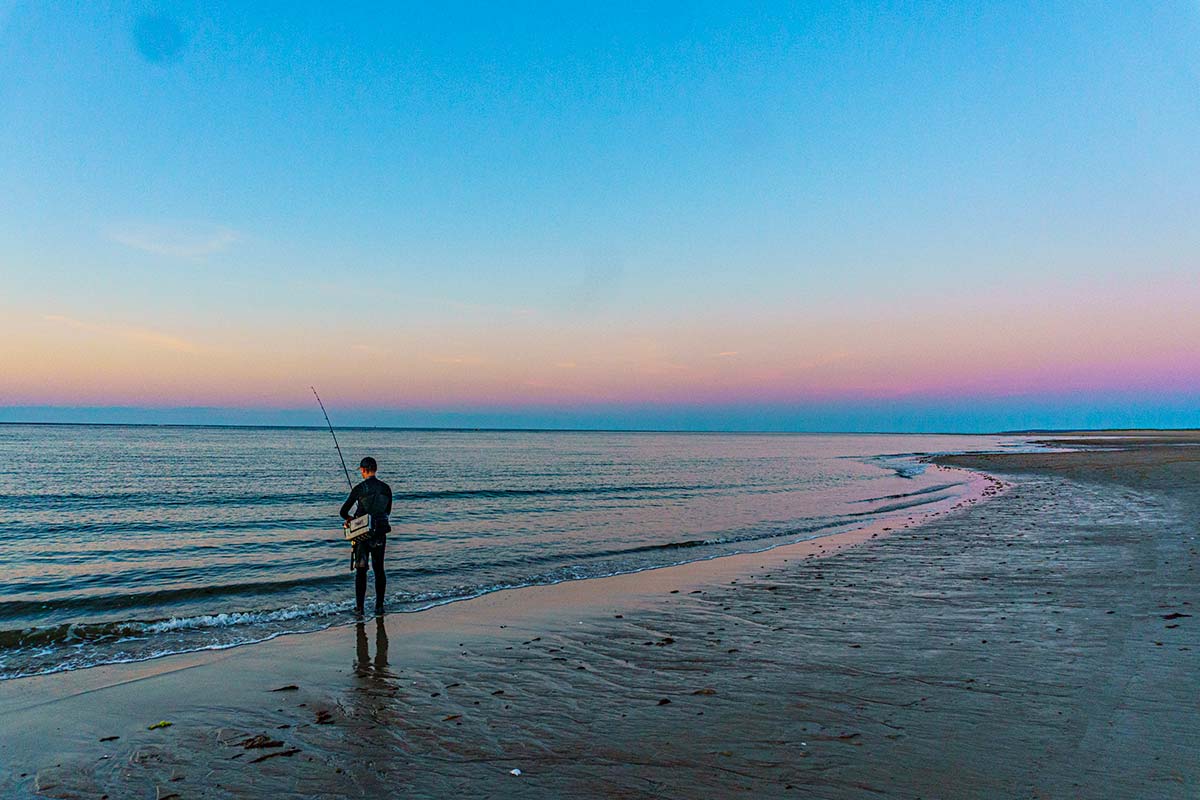 You May Spot Some Stingrays Along New Jersey Beaches This Summer