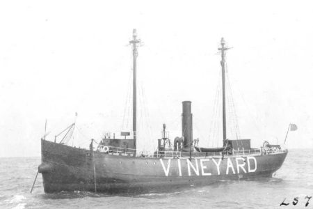 vineyard