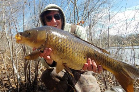 carp
