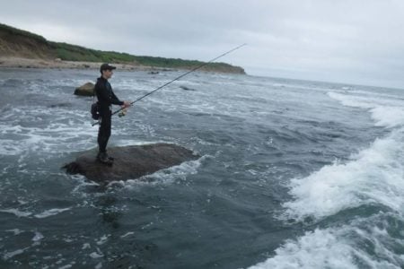 seal