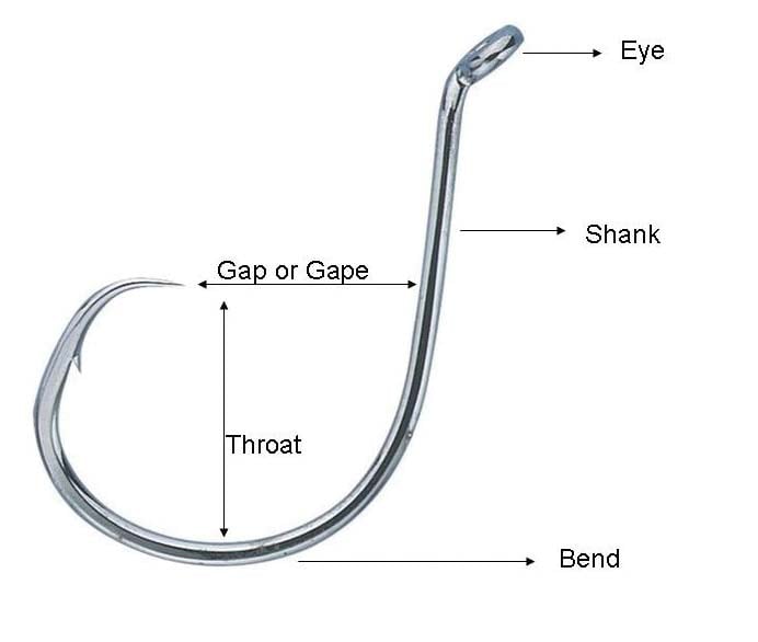 Striper live bait hook question