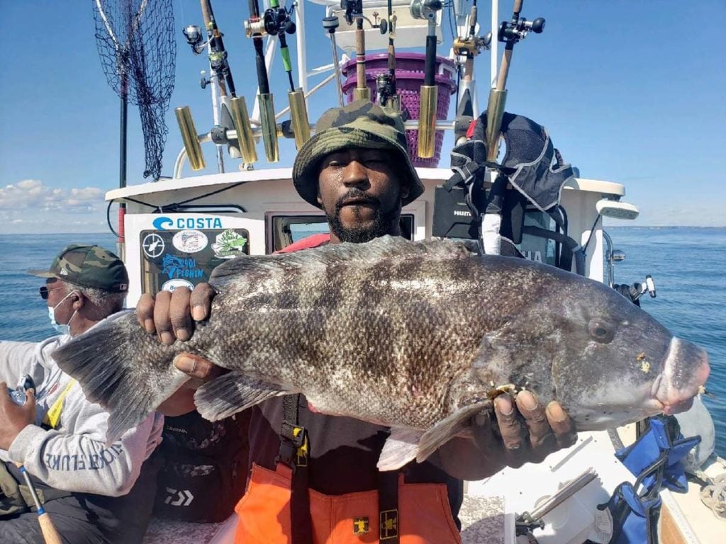 Tautog