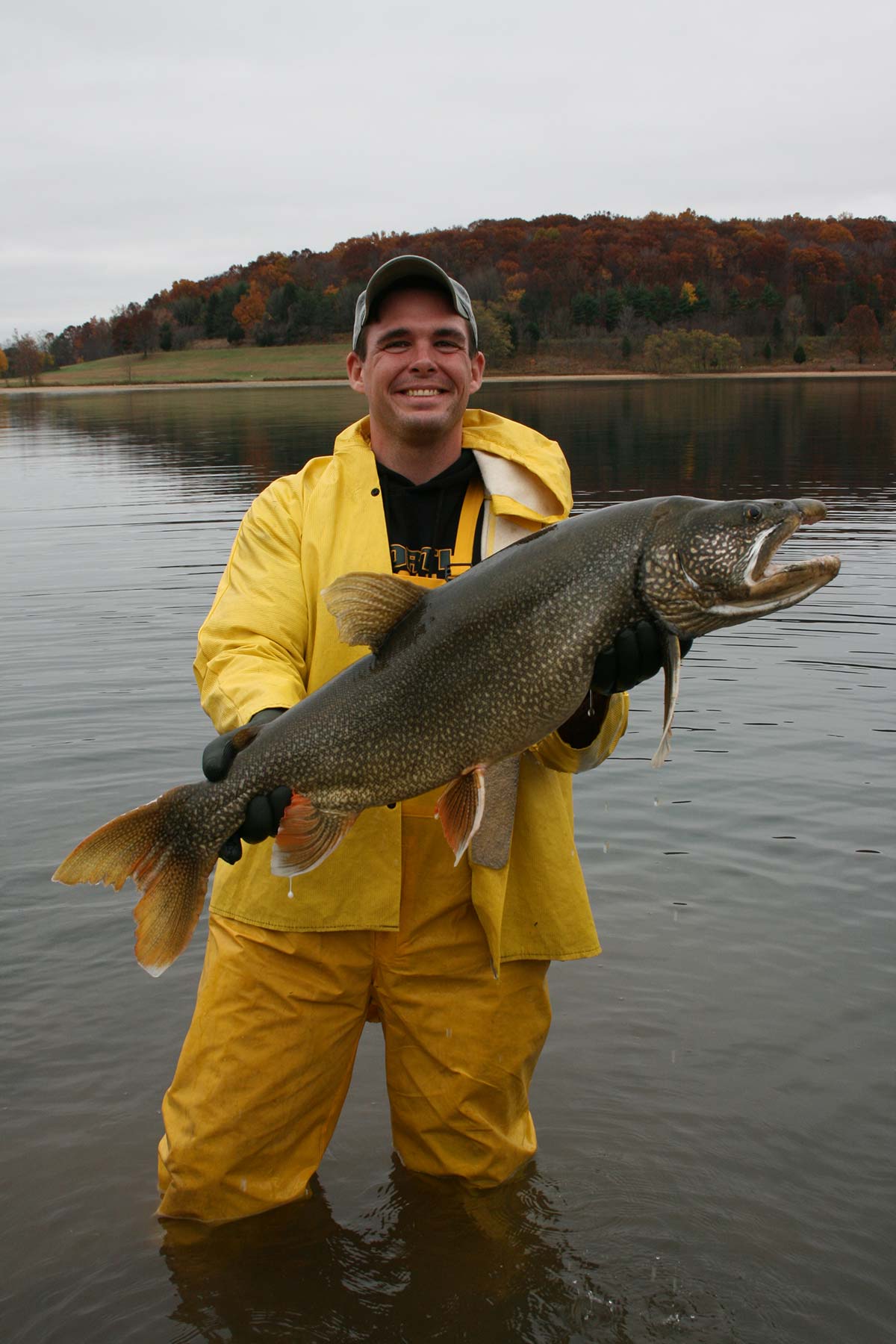 lake trout