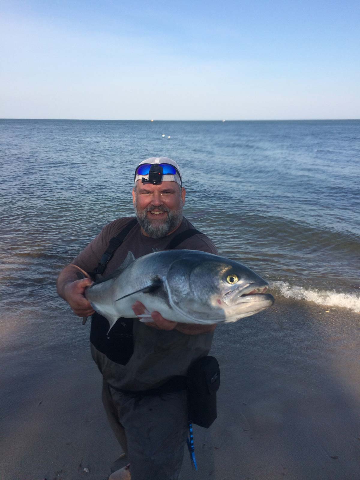 Where Are They Now? Riding The Bluefish Cycle - The Fisherman