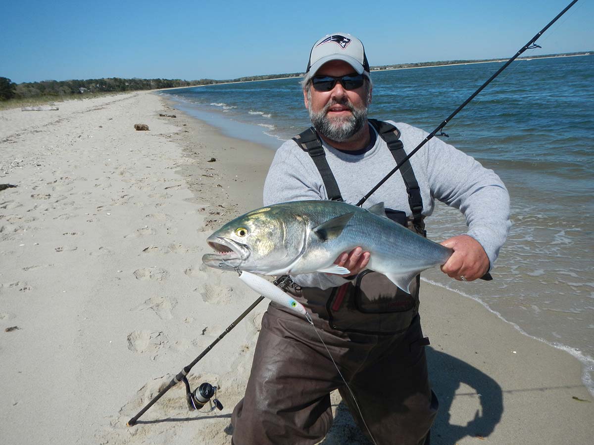 Where Are They Now? Riding The Bluefish Cycle - The Fisherman
