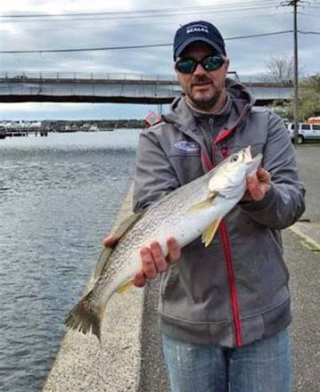 weakfish