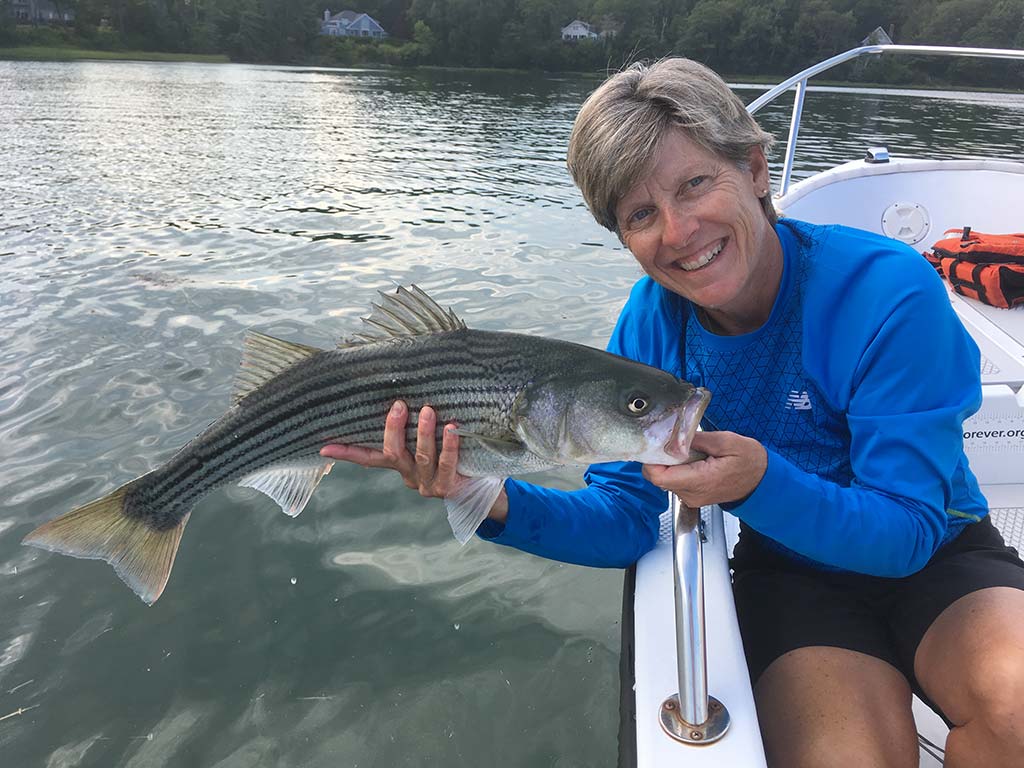 Untouched Maine Stripers - The Fisherman