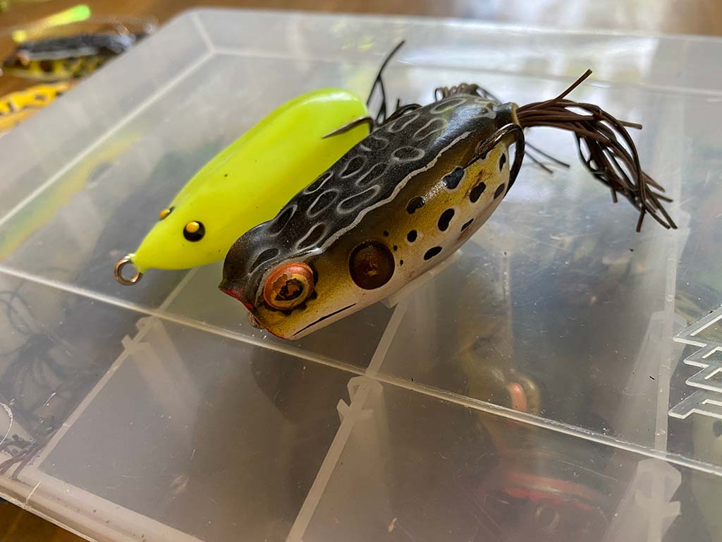 rat-frog