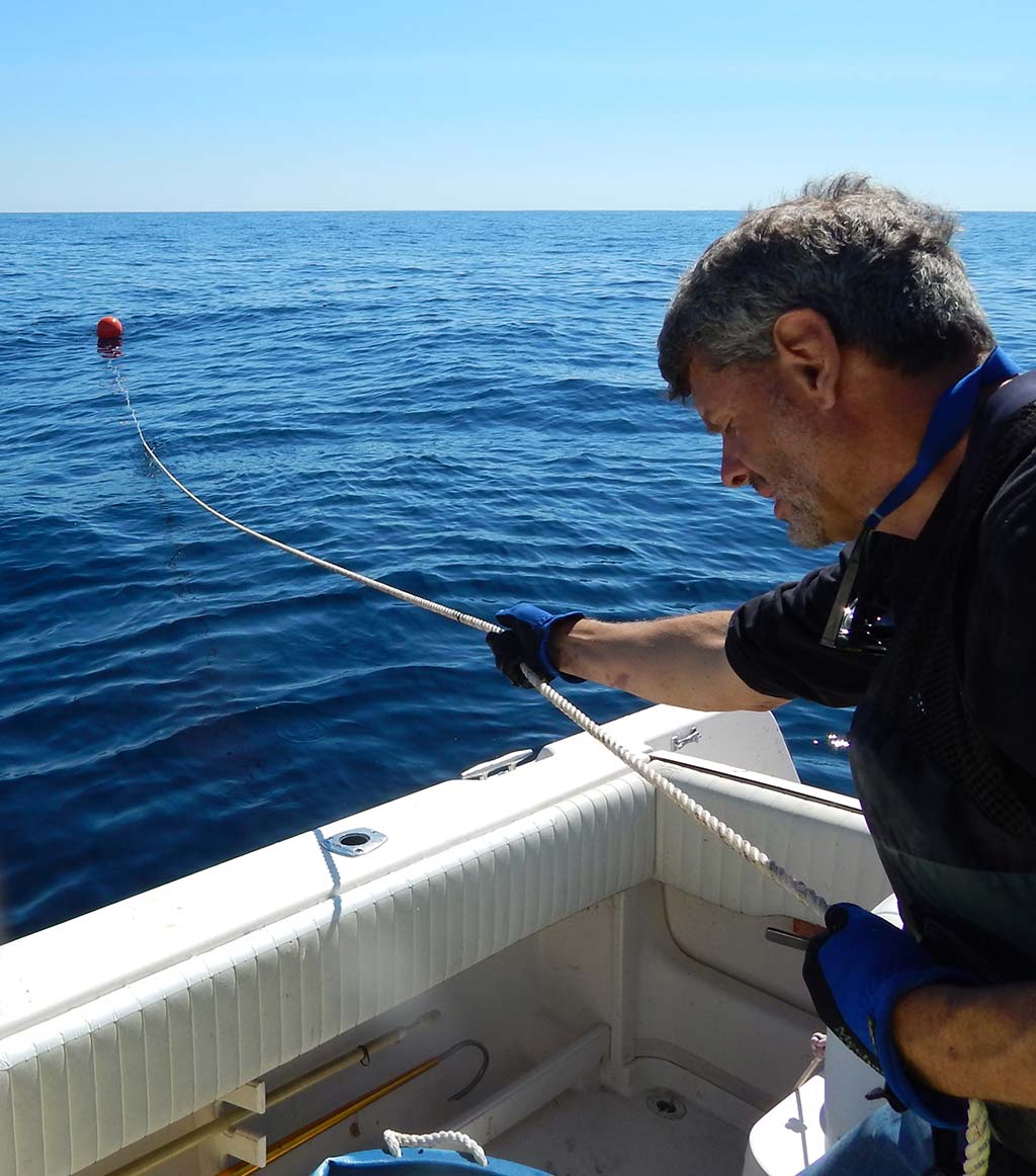 No Boat: No Problem - 5 Tips for Shore Fishing Success