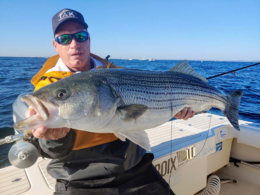 Learning To Fly: Rigged & Ready To Cast - The Fisherman