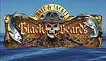 Blackbeard's Bait and Tackle Archives - The Fisherman