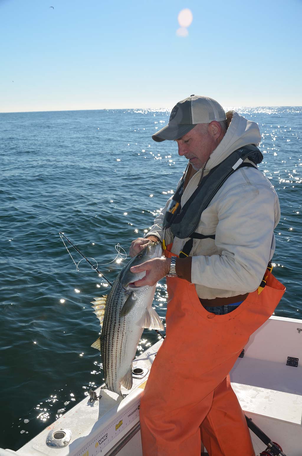 Leader Setups for New England Striped Bass– All Points Fly Shop + Outfitter