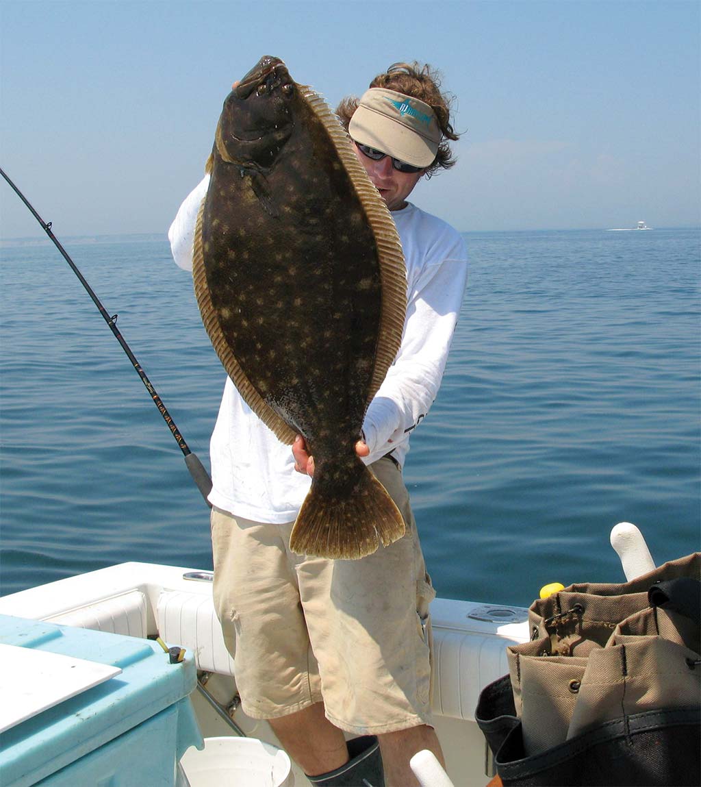 Hunting A Dream Boat Fluke The Fisherman Hunting A Dream Boat Fluke The Fisherman