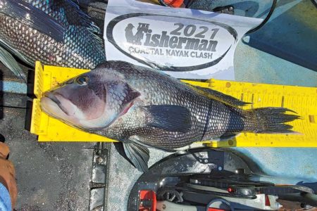 sea-bass