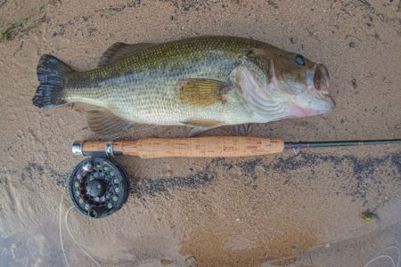 freshwater