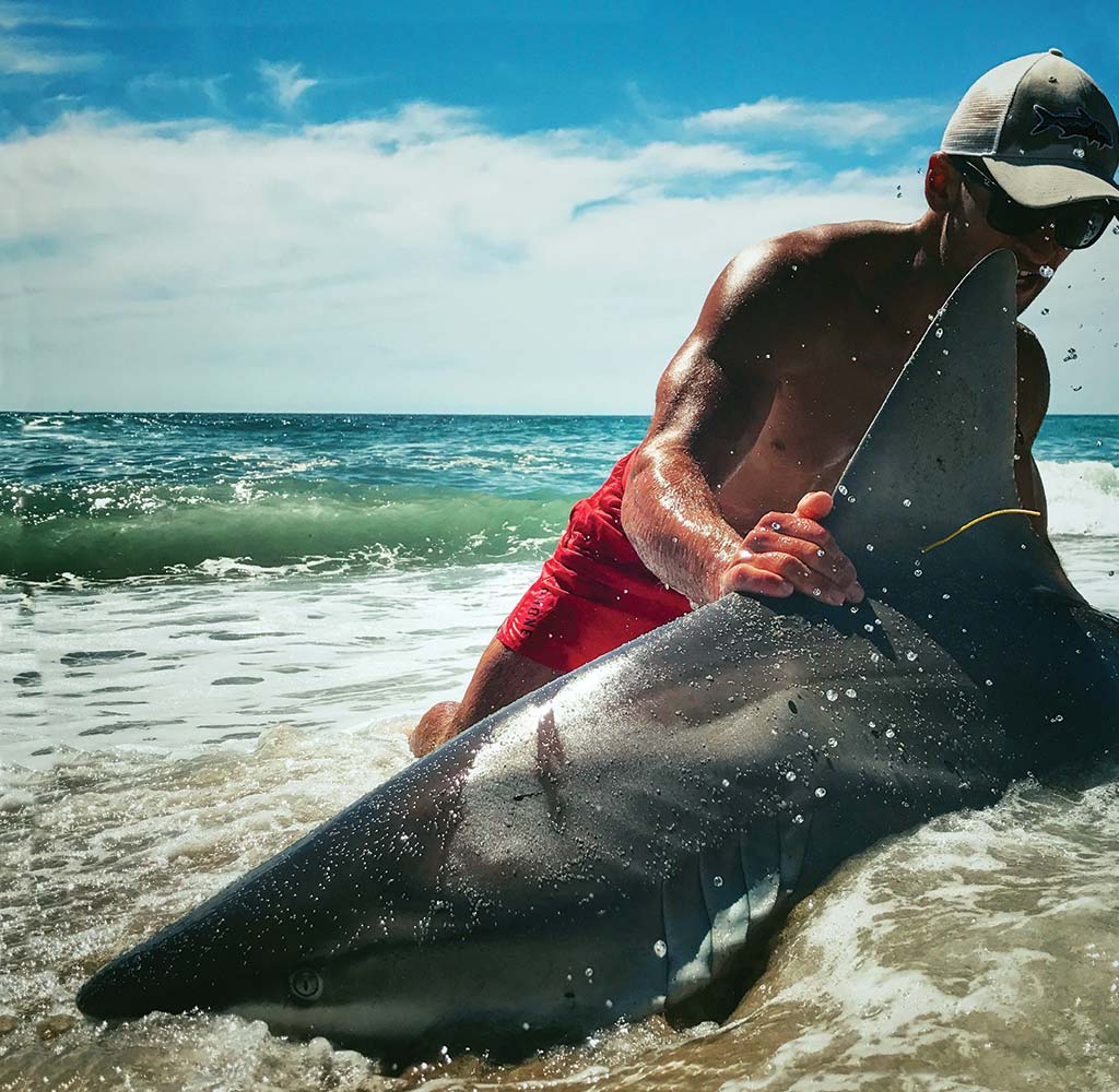 Final Days of Summer's Surf Shark Fishing