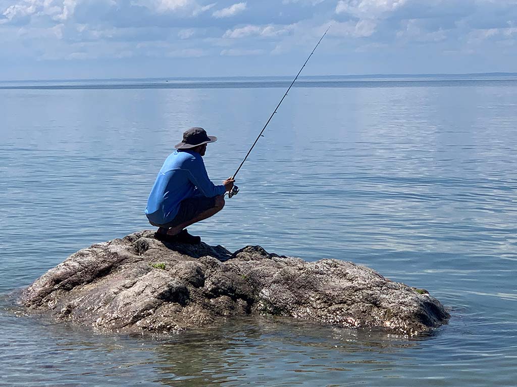 Reel Lines - Summer 2021