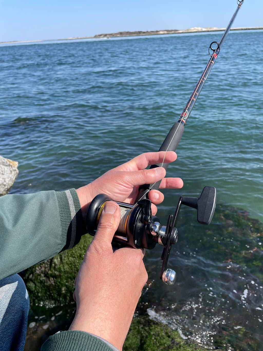 One-Stop Blackfishing: Jockeying For A Jetty Tog - The Fisherman