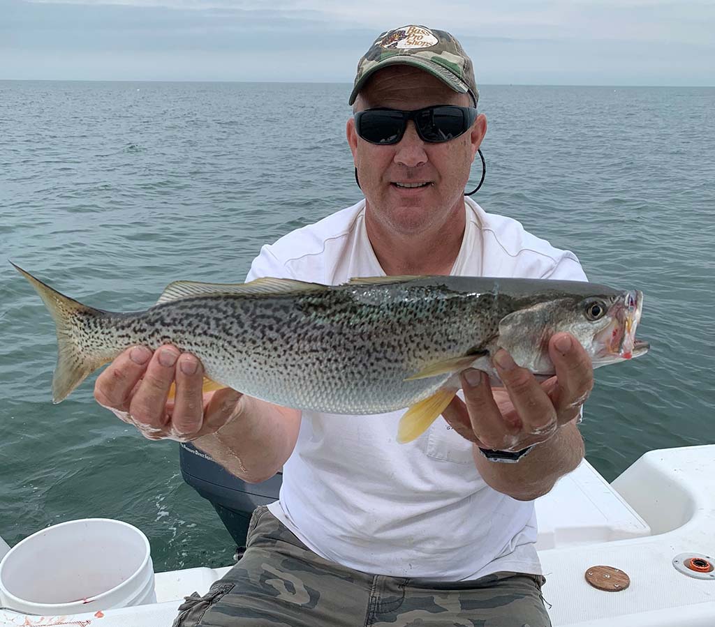 weakfish