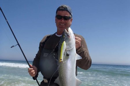 bluefish