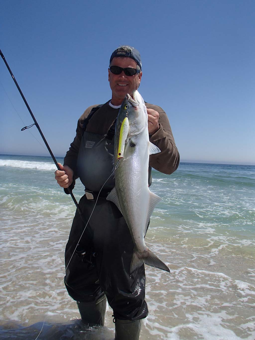 I Caught a BIG Mystery Fish from the BEACH!! (Saltwater Fishing