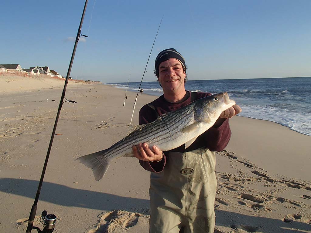 striper