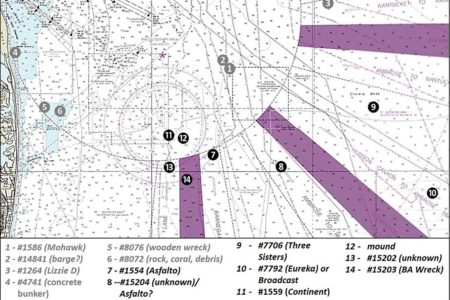 chart-1