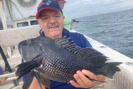 sea-bass