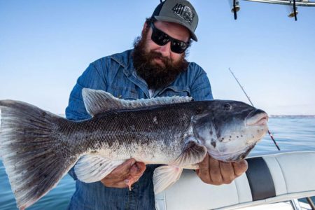 big-blackfish