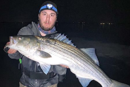 big-fish