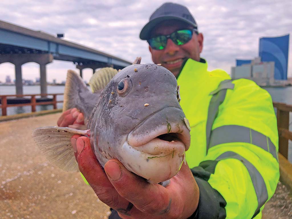 Bank on Big Catfish from the Shore - Game & Fish