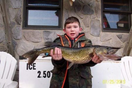 pickerel