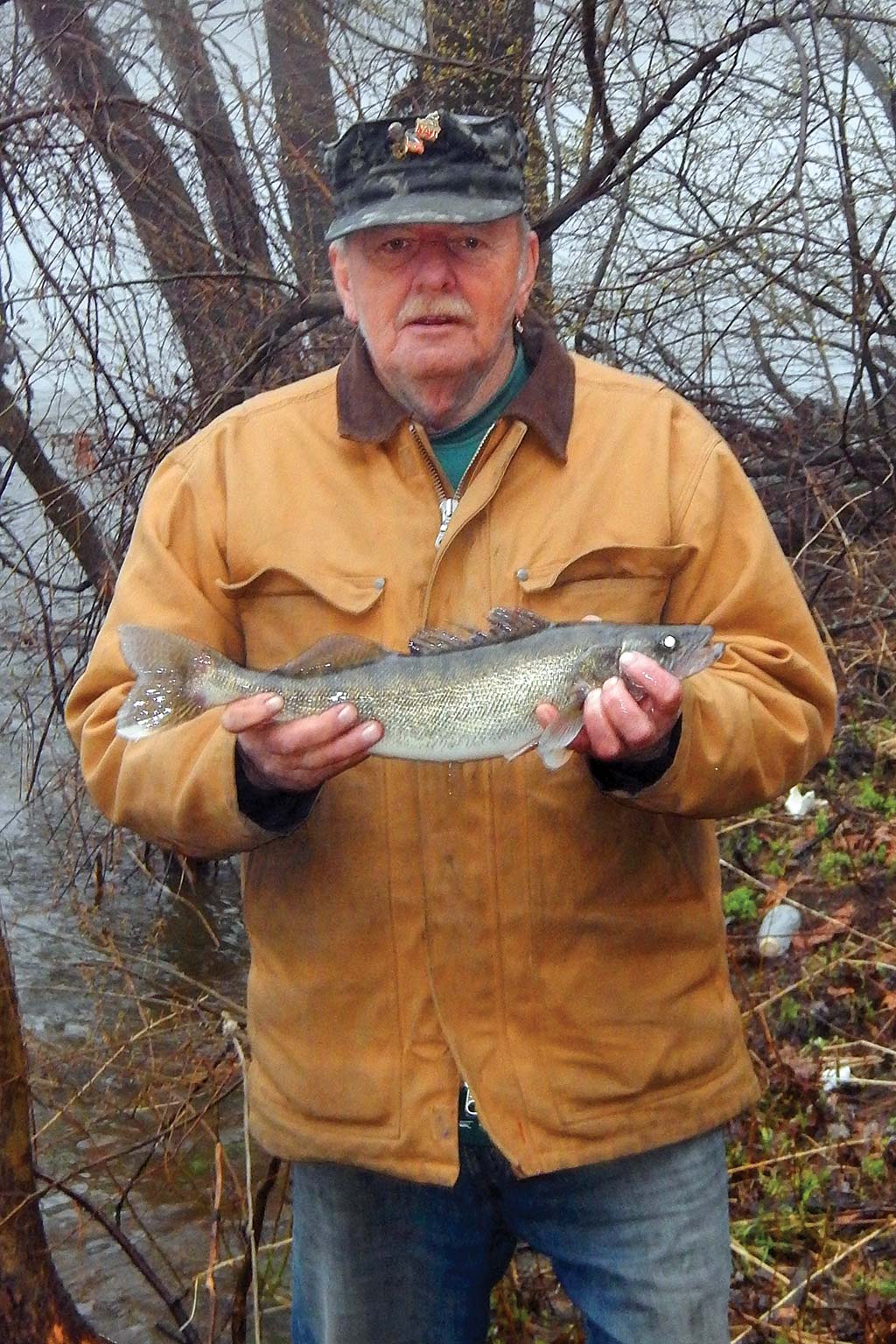 walleye-caught