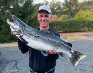 salmon