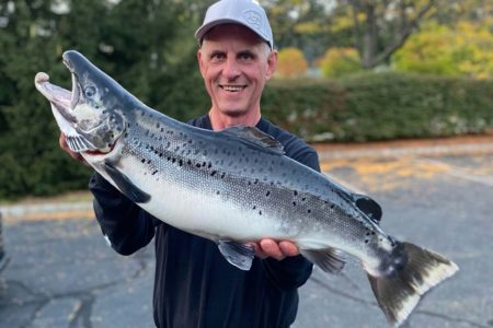 salmon