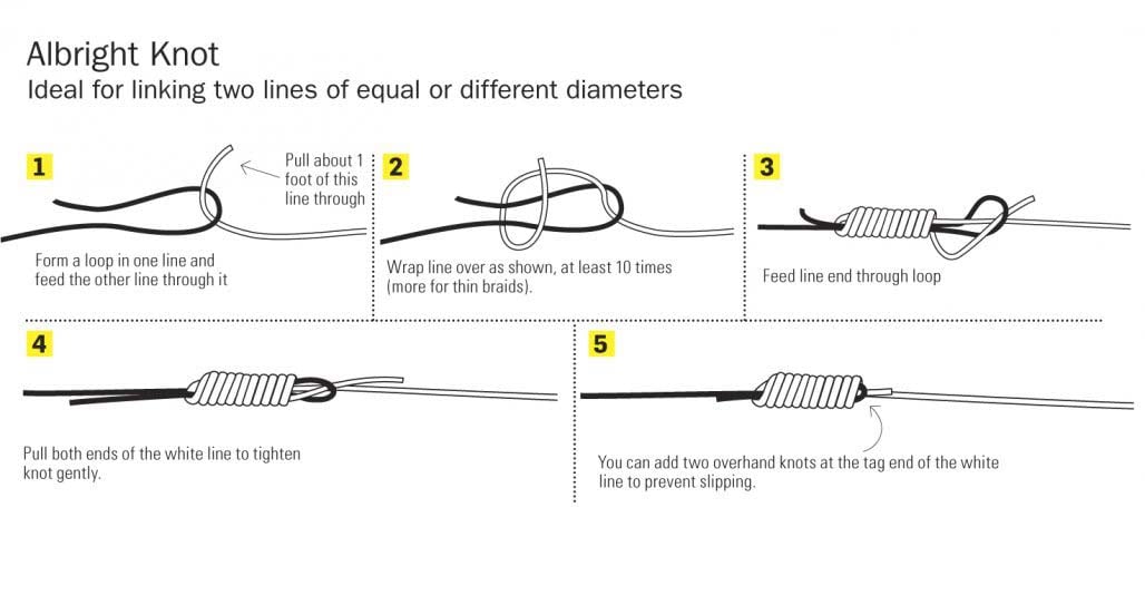 A Dynamic Duo: Braid & Fluorocarbon - The Fisherman