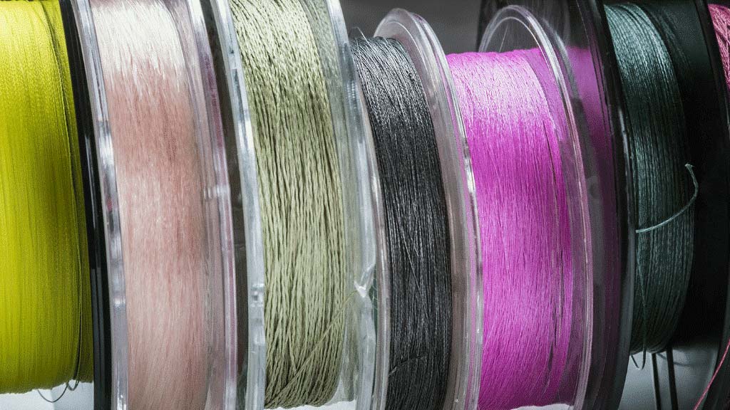 Can Fish See Braided Line? (And The Best Color To Use