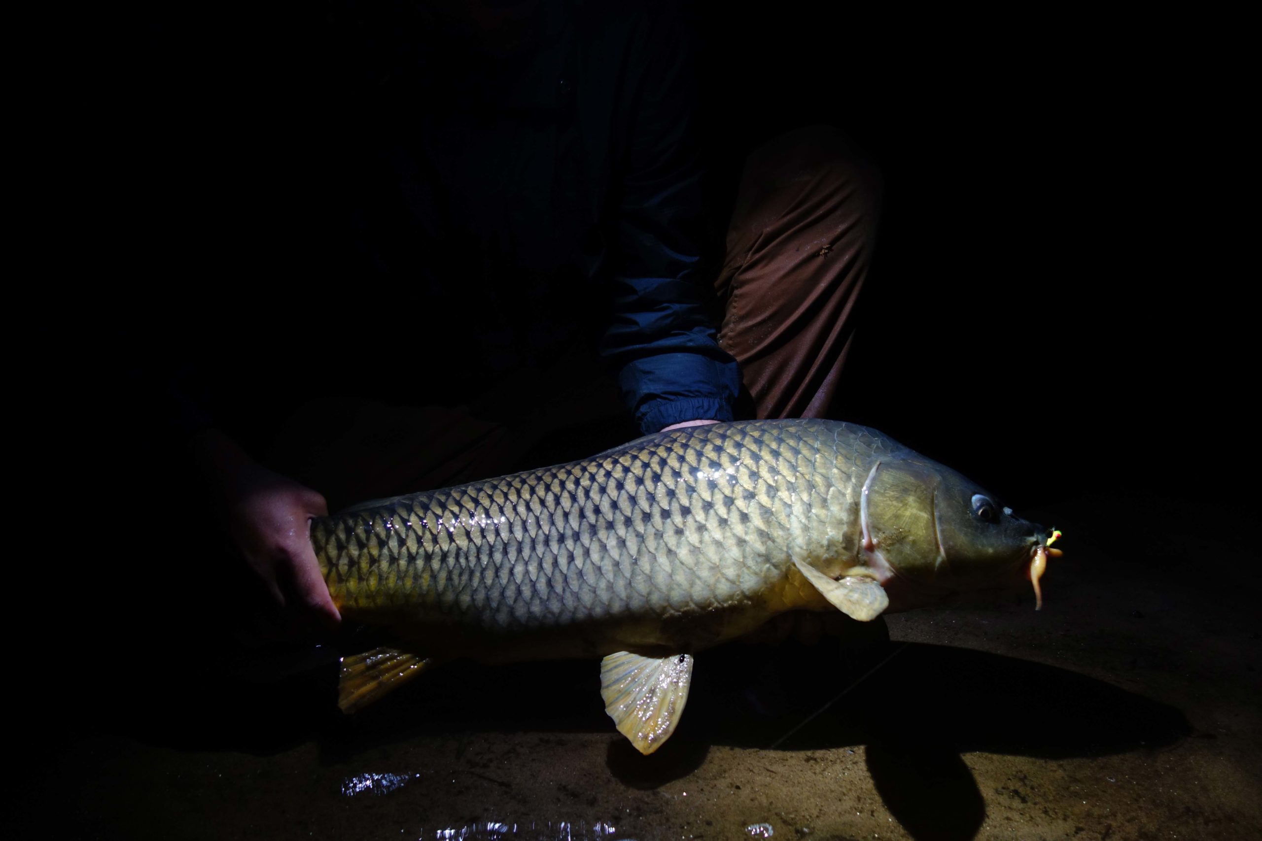 Night-fishing