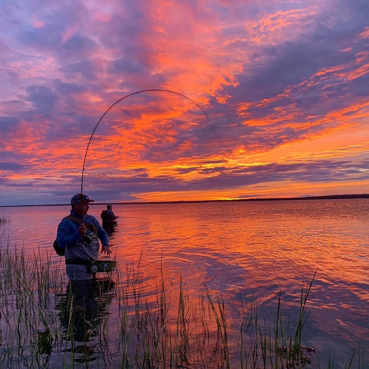 Woman Saltwater Fishing Casting from Boat during Sunrise Stock