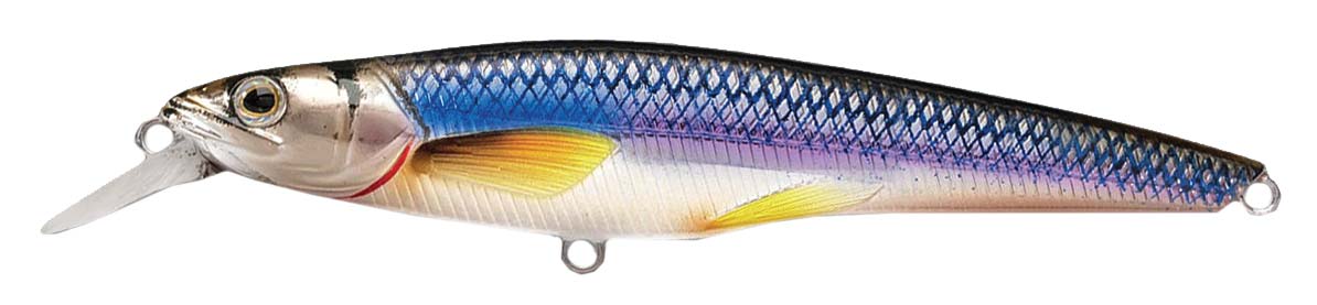 Livetarget Rainbow Smelt