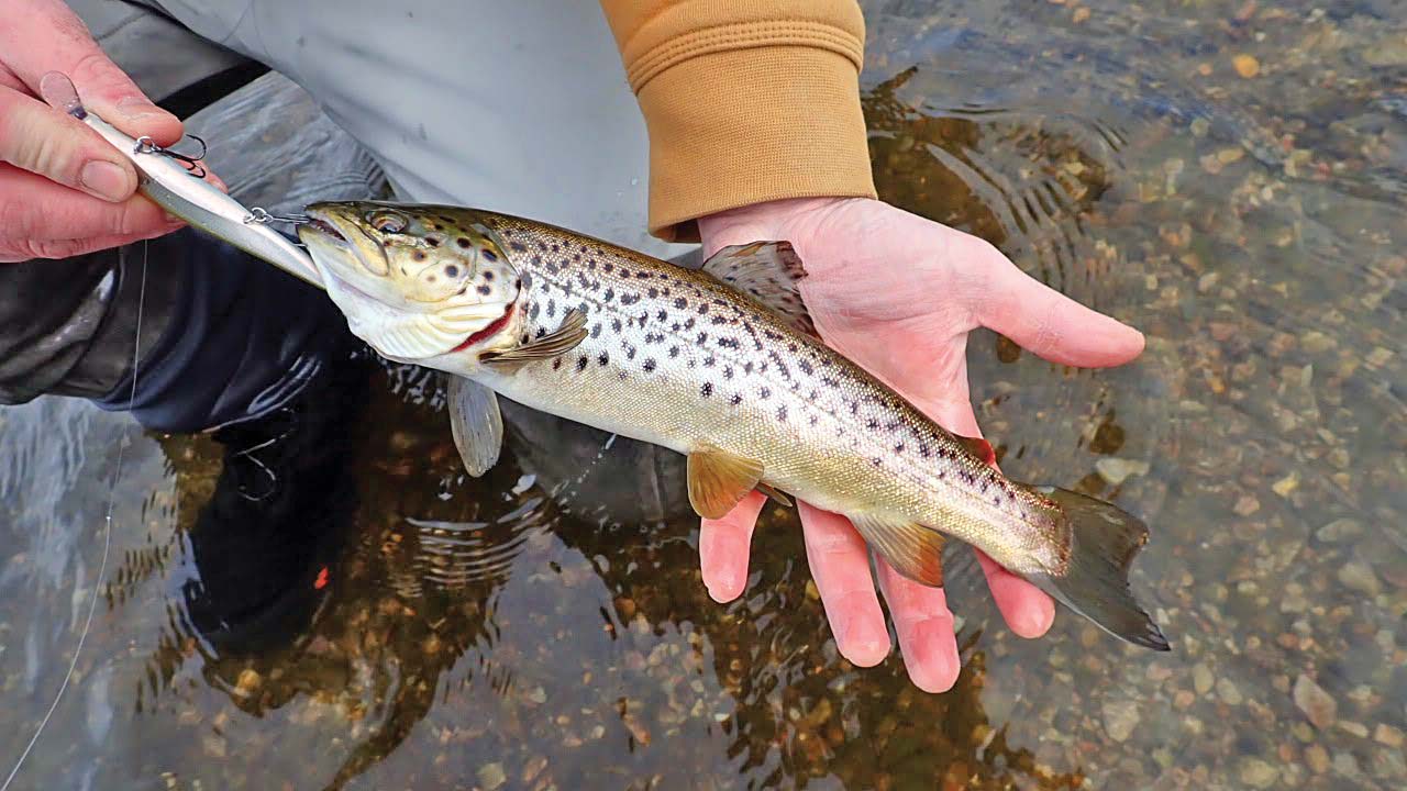 New Powerbait Technique for Trout! 