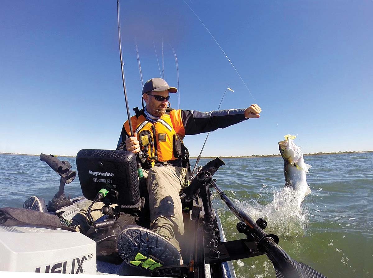 The Venomous Cocktail in a Fisherman's Bait