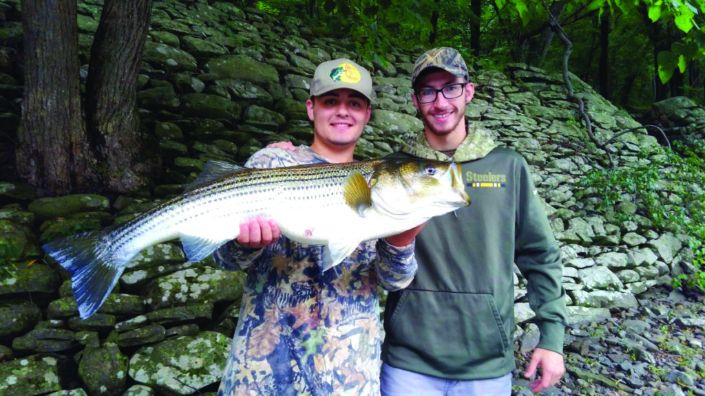 Fishing Beyond the Stream in Delaware County - Great Western