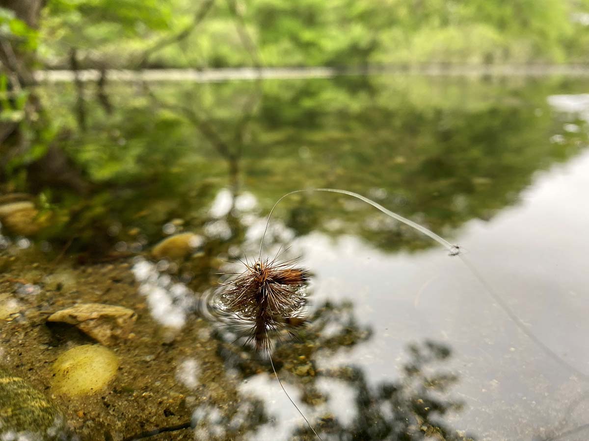 Fly Fishing: A Basic Dry Fly Presentation - The Fisherman