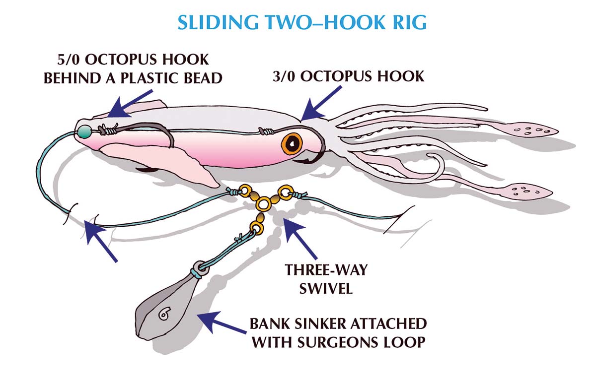 Sliding-Two-Hook-Rig