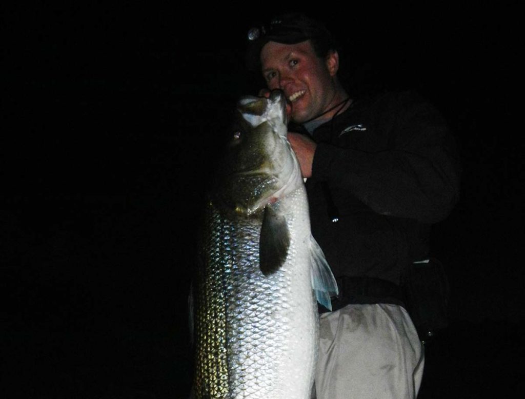 stripers