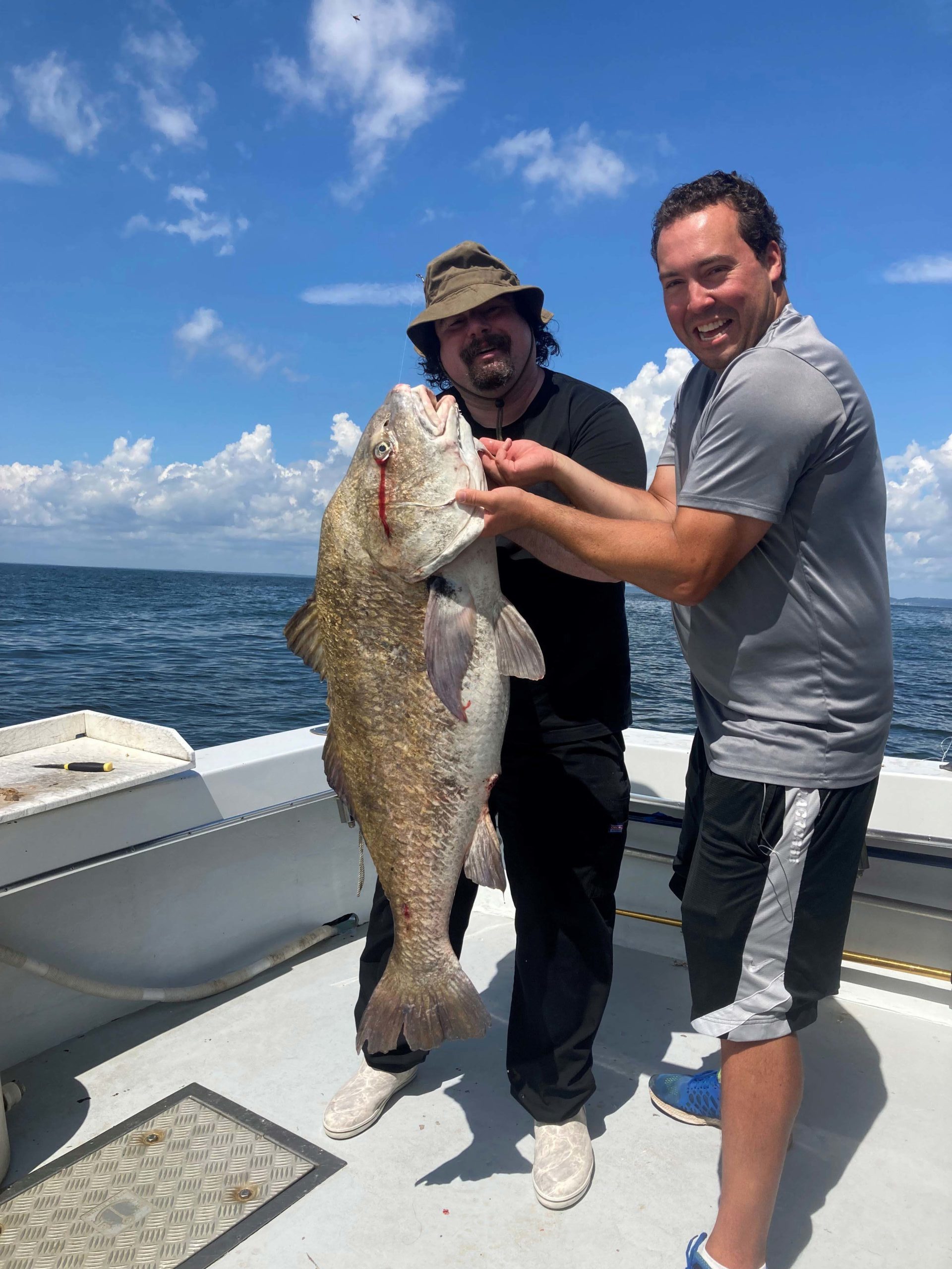 Black-Drum