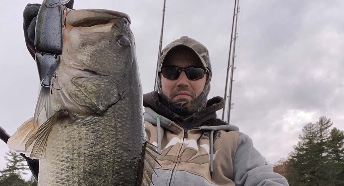 How To Catch Bass During The Fall To Winter Transition (Cold Water